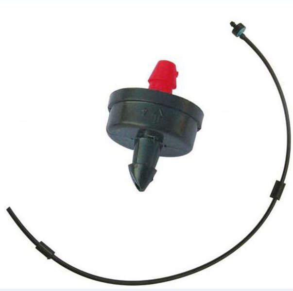 ��(w��n)�����M�D